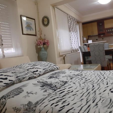 Spacious 80M2 Apartment In The Center 루브스키 외부 사진